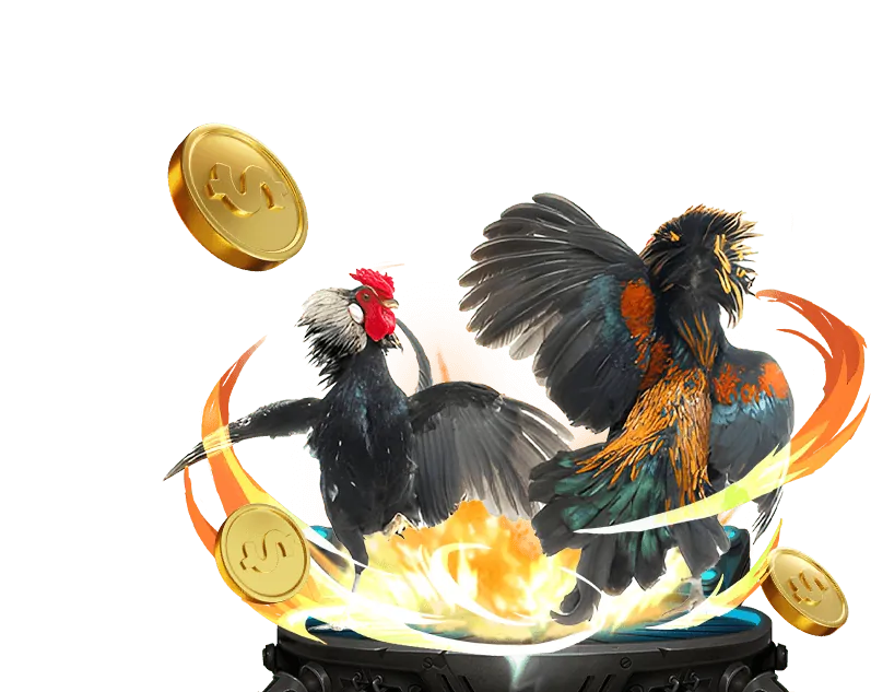 Chương trình hoàn trả hàng ngày 5men