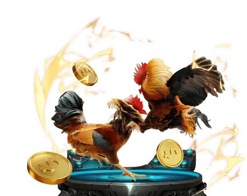 Nền tảng Đá Gà An Toàn 5men